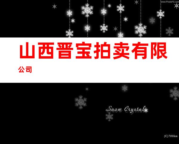 山西晋宝拍卖有限公司