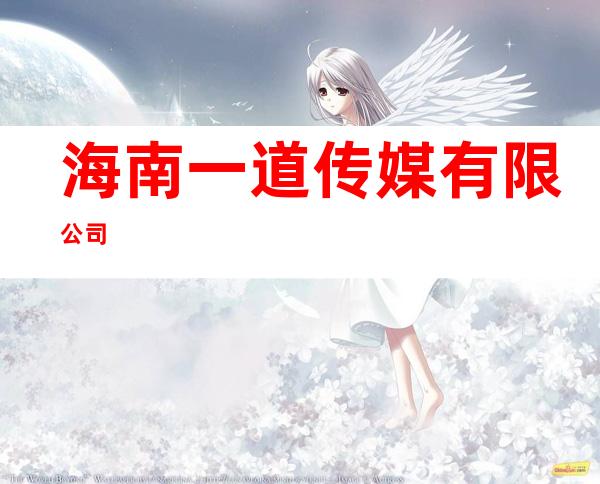 海南一道传媒有限公司